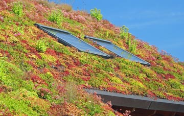 Upton Green living roof systems